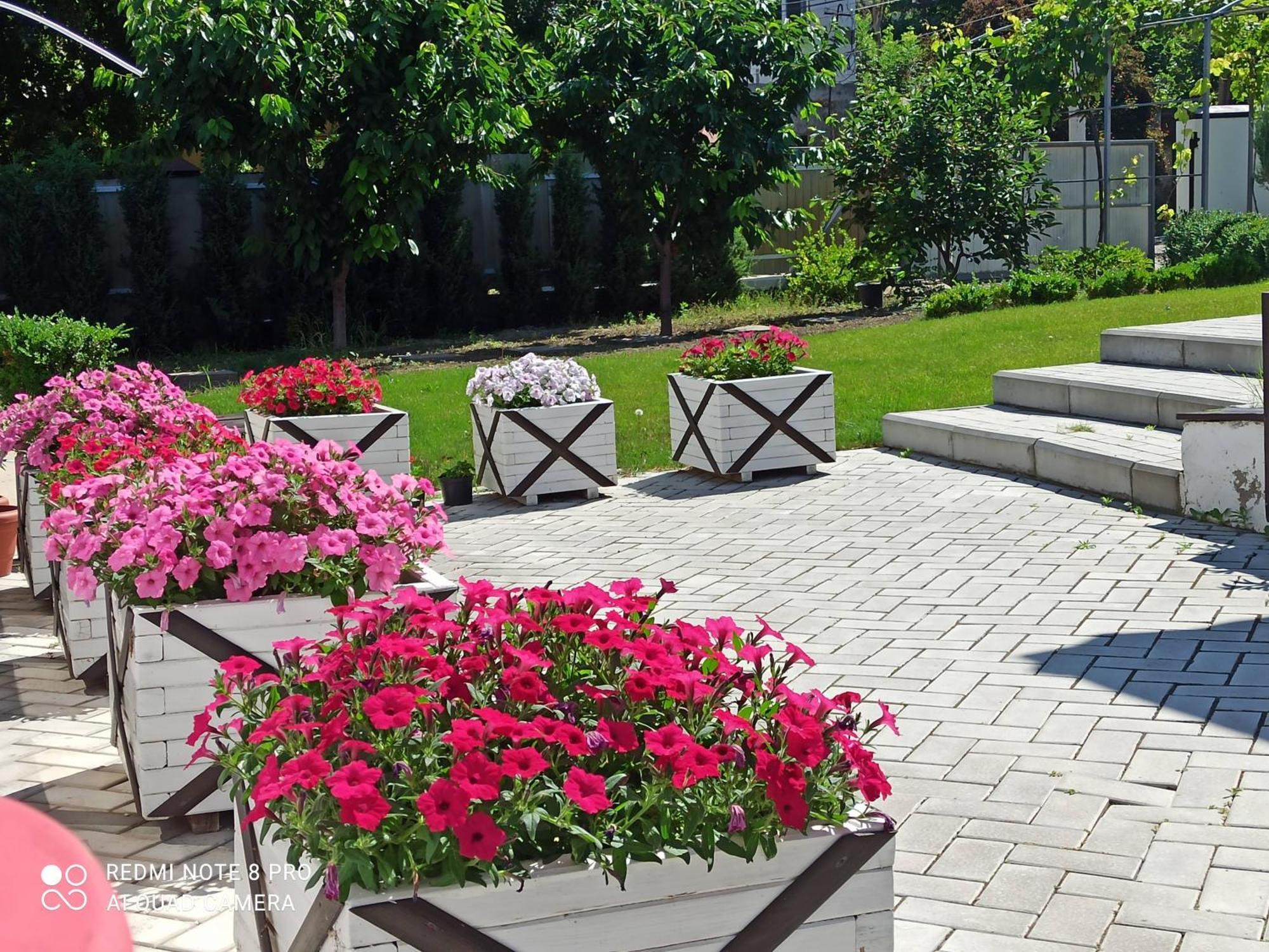 Экодом Hotel Bilhorod-Dnistrovskyy Ngoại thất bức ảnh